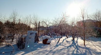 Купить земельный участок в г. Пески тер снт. Фотография №2