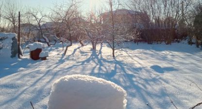 Купить земельный участок в г. Пески тер снт. Фотография №3