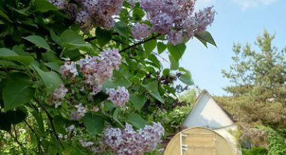 Купить земельный участок, Россия, г. Пески тер снт. Фотография №8