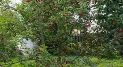 Продаётся земельный участок в г. Пески тер снт. Фотография №7