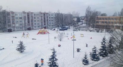 Купить 3-х комнатную квартиру в г. Малое Верево. Фотография №2