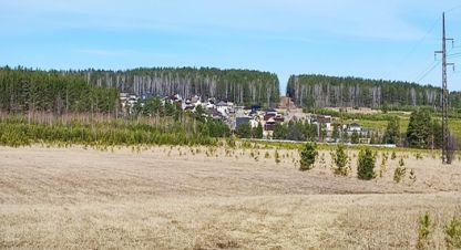 Купить земельный участок в г. Бобровский. Фотография №3