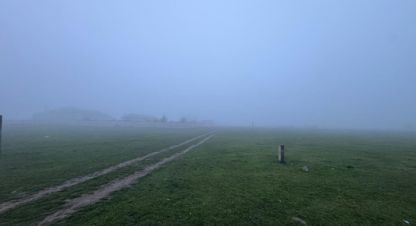 Продаётся земельный участок в г. Шалушка. Фотография №6 Продаётся земельный участок в г. Шалушка. Фотография №6