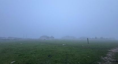 Купить земельный участок в г. Шалушка. Фотография №2 Купить земельный участок в г. Шалушка. Фотография №2