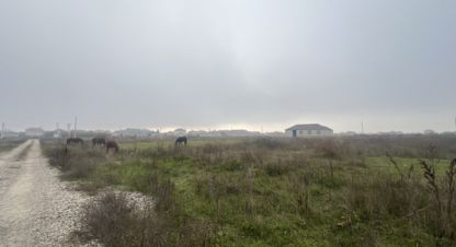 Купить земельный участок на улице Мира г. Шалушка. Фотография №5