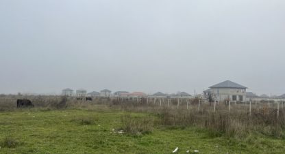 Купить земельный участок, Россия, г. Шалушка. Фотография №9