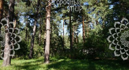 Купить дом 5-ти комнатную, 729 кв. м., Россия, г. Малаховка. Фотография №9