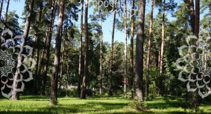 Продаётся земельный участок в г. Малаховка. Фотография №7 Продаётся земельный участок в г. Малаховка. Фотография №7