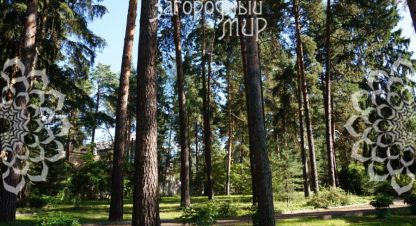 Продаётся земельный участок в г. Малаховка. Фотография №6 Продаётся земельный участок в г. Малаховка. Фотография №6