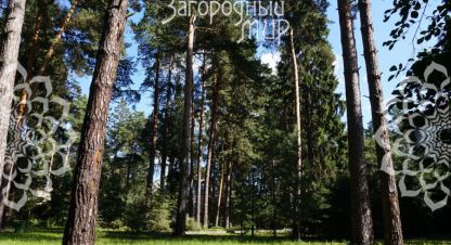 Купить земельный участок на улице Респнская г. Малаховка. Фотография №4 Купить земельный участок на улице Респнская г. Малаховка. Фотография №4