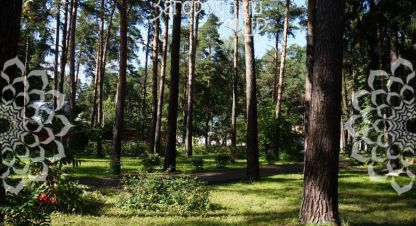 Купить земельный участок в г. Малаховка. Фотография №3 Купить земельный участок в г. Малаховка. Фотография №3