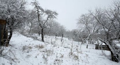 Купить 2-х комнатную дом в г. Вольный аул. Фотография №2 Купить 2-х комнатную дом в г. Вольный аул. Фотография №2