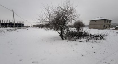 Купить земельный участок в г. Шалушка. Фотография №2