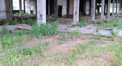 Купить торговое помещение, 6178 кв. м., Россия, г. Кстово. Фотография №9