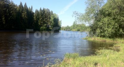 Купить земельный участок в г. Садовое некоммерческое товарищество елена. Фотография №2 Купить земельный участок в г. Садовое некоммерческое товарищество елена. Фотография №2