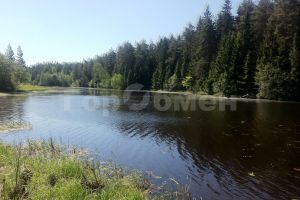 Продам земельный участок, г. Садовое некоммерческое товарищество елена, Тверская обл., Россия, агентство ГорОбмен