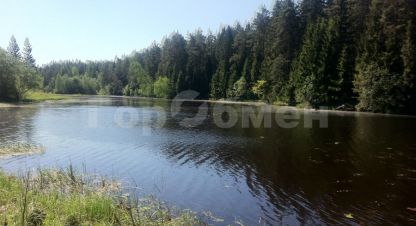 Купить земельный участок. Фотография №1 Продам земельный участок, г. Садовое некоммерческое товарищество елена, Тверская обл., Россия, агентство ГорОбмен. Фотография №1