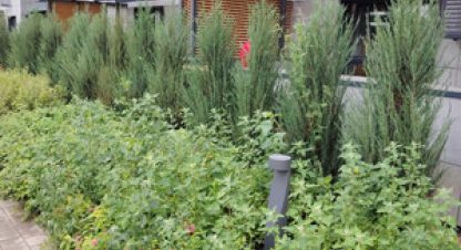 Купить 2-х комнатную квартиру на улице Новая ул г. Новое шигалеево. Фотография №4