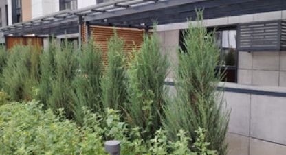 Купить квартиру в г. Новое шигалеево. Фотография №3