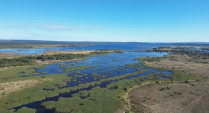 Купить земельный участок, Россия, г. Шуя. Фотография №10