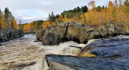 Купить земельный участок г. Надвоицы. Фотография №5