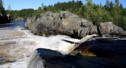 Купить земельный участок г. Надвоицы. Фотография №4