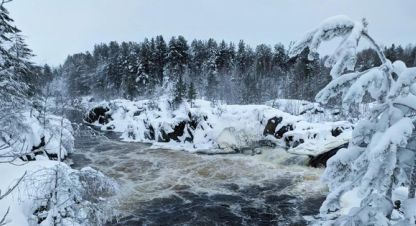 Купить земельный участок, Россия, г. Надвоицы. Фотография №10