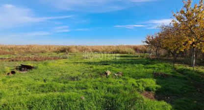 Продам земельный участок, на улице Заречная ул, г. Каневская, Краснодарский край, Россия, агентство Интернет-партнер. Фотография №1