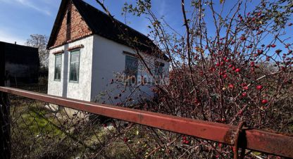 Купить 1 комнатную коттедж/дачу в г. Экономическое. Фотография №2