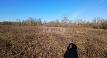 Купить земельный участок на улице Летняя ул г. Хадыженск. Фотография №5