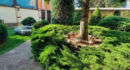 Купить дом г. Одесса . Фотография №4 Купить дом г. Одесса . Фотография №4