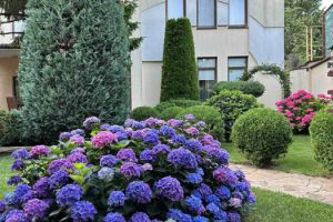 Продам дом с общей площадью 240м2, Киевский район, г. Одесса , Одесская обл., Украина, агентство АН Проспект Продам дом с общей площадью 240м2, Киевский район, г. Одесса , Одесская обл., Украина, агентство АН Проспект