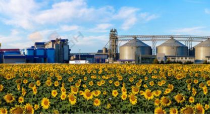 Купить производственно-складское помещение, 9000 кв. м. Фотография №1 Продам производственно-складское помещение с общей площадью 9000м2, на улице Ленина ул, г. Майкоп, Адыгея респ., Россия, агентство Мореон Инвест. Фотография №1