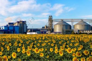 Продам производственно-складское помещение с общей площадью 9000м2, на улице Ленина ул, г. Майкоп, Адыгея респ., Россия, агентство Мореон Инвест