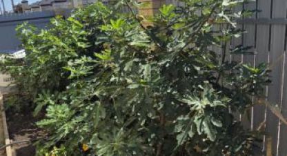 Купить 5-ти комнатную дом на улице Квартал водный г. Индустриальный. Фотография №4 Купить 5-ти комнатную дом на улице Квартал водный г. Индустриальный. Фотография №4