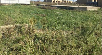 Купить земельный участок на улице Микробиоло тер снт белозерный п клубничная ул г. Краснодар. Фотография №4 Купить земельный участок на улице Микробиоло тер снт белозерный п клубничная ул г. Краснодар. Фотография №4