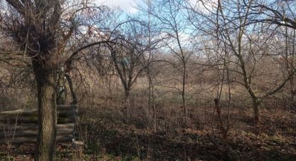 Купить земельный участок в г. Новомышастовская ст-ца. Фотография №3 Купить земельный участок в г. Новомышастовская ст-ца. Фотография №3