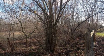 Купить земельный участок на улице Новая ул г. Новомышастовская ст-ца. Фотография №4 Купить земельный участок на улице Новая ул г. Новомышастовская ст-ца. Фотография №4