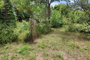 Продам земельный участок, на улице Яблоневая ул, Прикубанский окр район, г. Краснодар, Краснодарский край, Россия, агентство Мореон Инвест