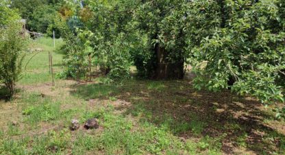 Купить земельный участок на улице Яблоневая ул г. Краснодар. Фотография №5