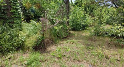 Продам земельный участок, на улице Яблоневая ул, Прикубанский окр район, г. Краснодар, Краснодарский край, Россия, агентство Мореон Инвест. Фотография №1