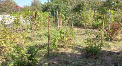 Купить земельный участок в г. Краснодар. Фотография №3