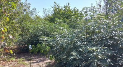 Купить земельный участок на улице Яблоневая ул г. Краснодар. Фотография №4