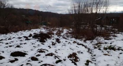 Купить земельный участок на улице Центральная ул г. Нижегородская ст-ца. Фотография №5 Купить земельный участок на улице Центральная ул г. Нижегородская ст-ца. Фотография №5