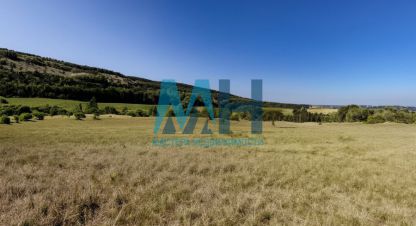 Купить земельный участок в г. Подгорное. Фотография №3