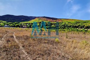 Продам земельный участок, г. Подгорное, Крым авт. респ., Россия, агентство Мастера Недвижимости 