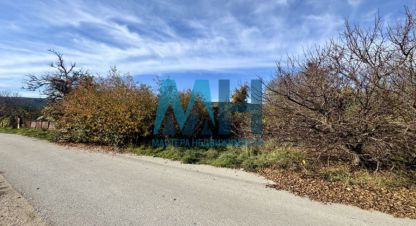 Купить земельный участок в г. Штурмовое пос. Фотография №2 Купить земельный участок в г. Штурмовое пос.. Фотография №2