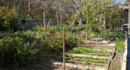 Купить земельный участок в г. Севастополь. Фотография №2