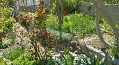 Купить земельный участок в г. Севастополь. Фотография №3