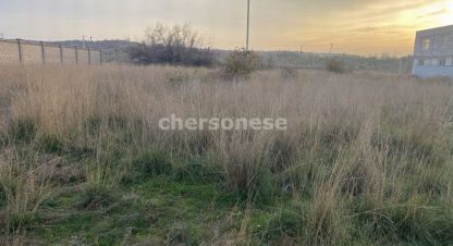 Купить земельный участок в г. Орловка. Фотография №2 Купить земельный участок в г. Орловка. Фотография №2